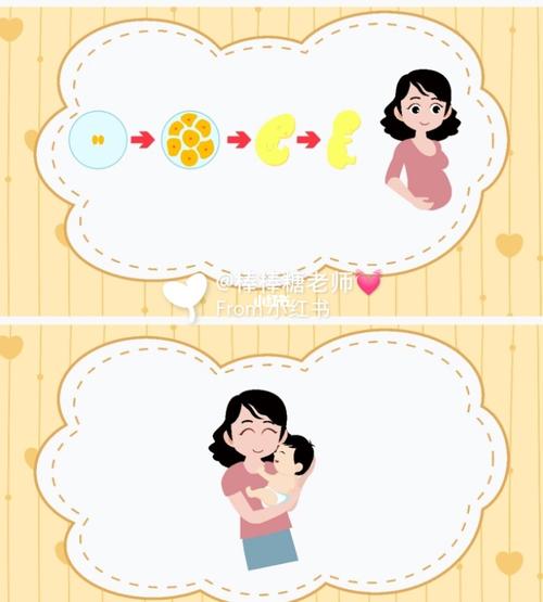 幼儿园生命主题教育【我从哪里来】ppt_ppt_幼儿园_小
