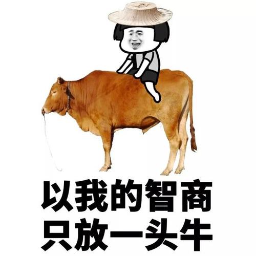 看了这些图,我们组团放牛吧