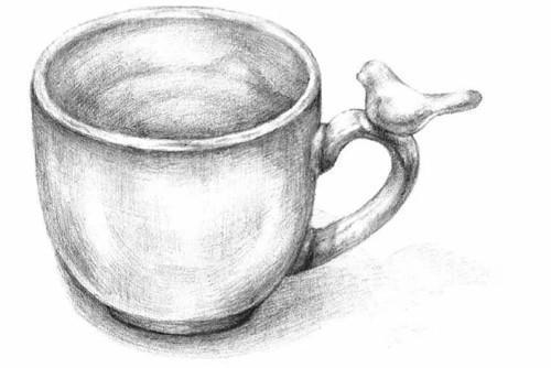 素描杯子教程:杯子素描怎么画?教你画一个小鸟陶瓷杯