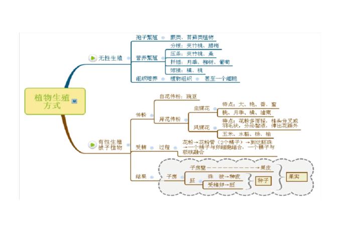 浙教版科学七年级下册全章思维导图教学文案.docx 30页
