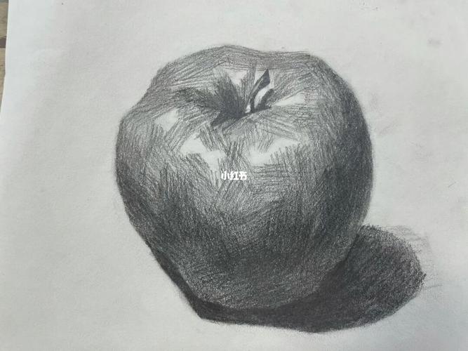 素描 苹果_素描_文化_绘画