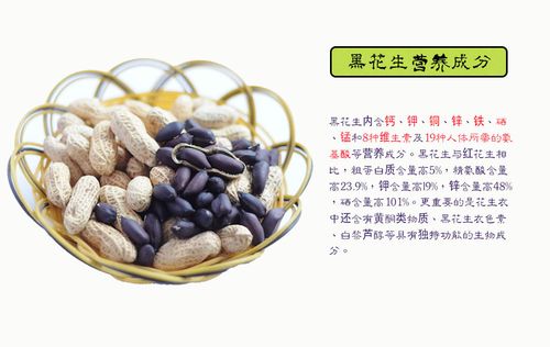 黑花生带壳生花生山东特产富硒2014新品精品礼盒厂家直供批发包邮