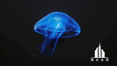 宛如一水母浮空游荡