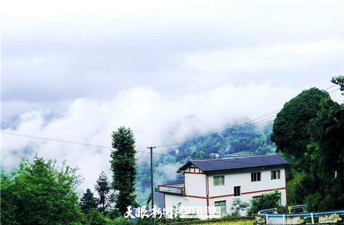 正安县乐俭镇:轻纱薄雾入画来