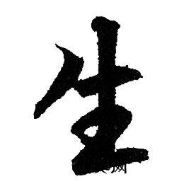 生字行书写法_生行书怎么写好看_生书法图片_词典网
