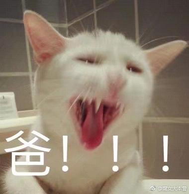 喊爸爸表情包无水印