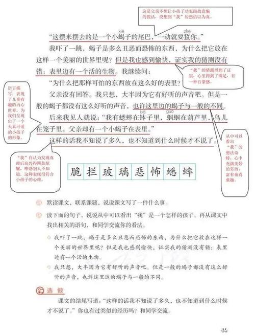 六年级语文课文《表里的生物》知识点详解