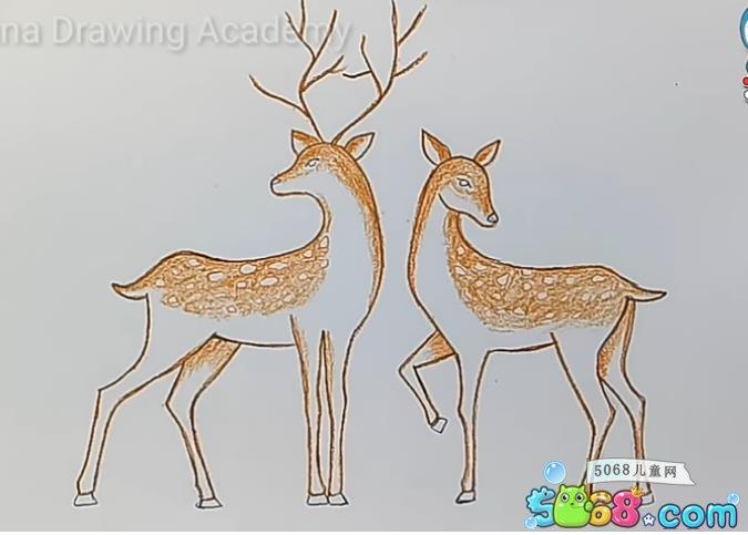 手把手教你画两只梅花鹿_彩铅手绘画鹿的图解教程