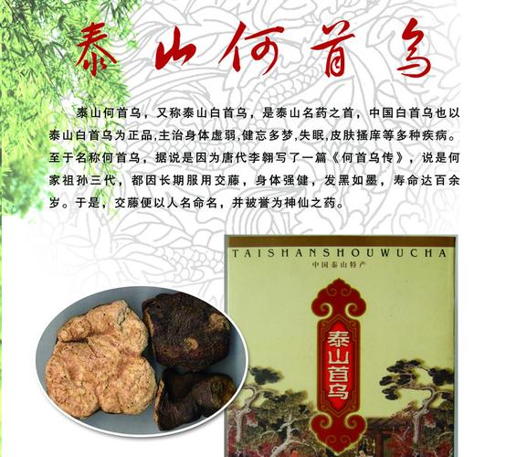 山东泰安