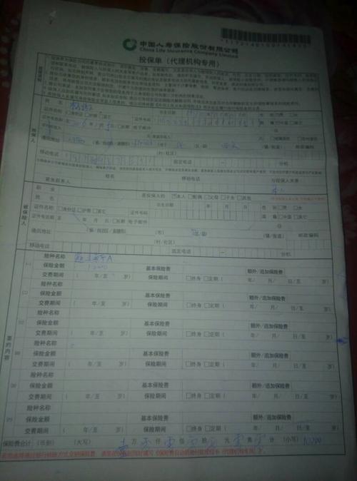 中国人寿保险国寿鑫丰新两全保险a款