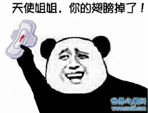 搞笑金馆长熊猫表情包,用笑容席卷世界的男人(2)