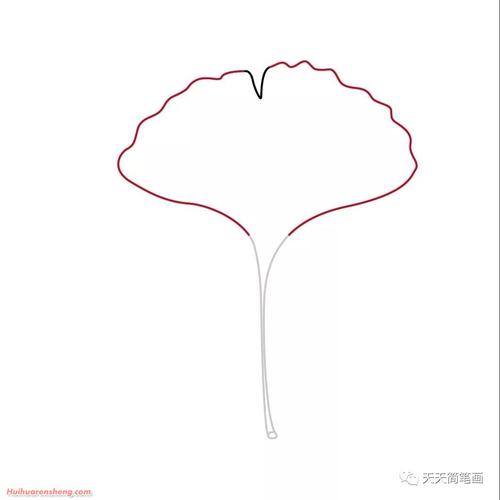 枫叶简笔画步骤银杏叶子简笔画作品彩色图片