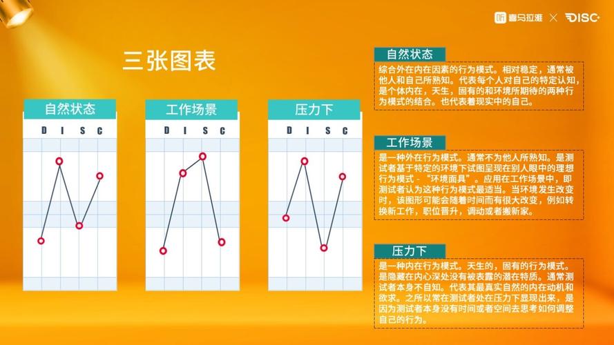 善用disc测评精准提升
