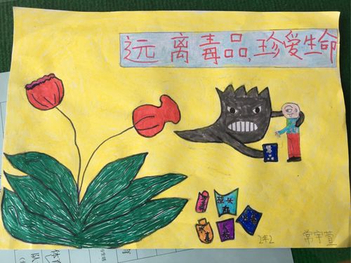 白银区第十三小学二年级二班禁毒宣传画