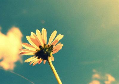 形容窗子美好的句子有哪些?