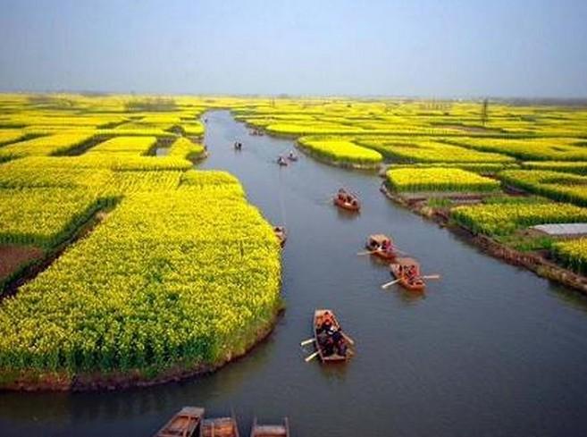 盐城必去景点之丹顶鹤自然保护区