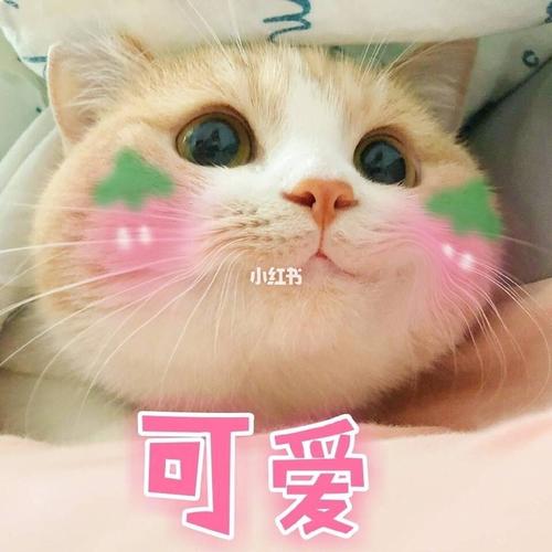 超级可爱的小草莓91表情包 最可爱的你快进来收图鸭 最最喜欢我们小