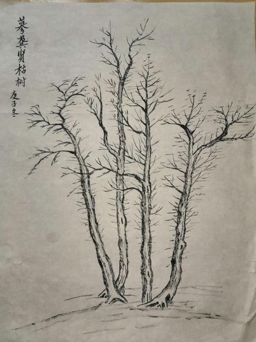 2020年10月27日开学后至11月30日张玉发国画作业