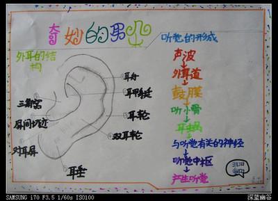 爱护耳朵一年级的手抄报 一年级的手抄报