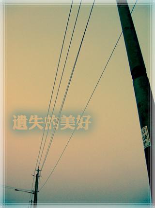 遗失的美好