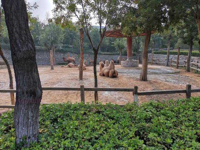 石家庄市动物园