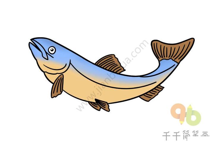 如何画鲑鱼的简笔画画法