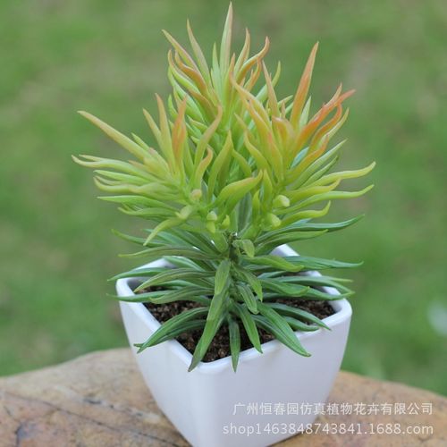 现货供应仿真多肉植物 松针多肉盆栽植物墙微景观植物配材批发