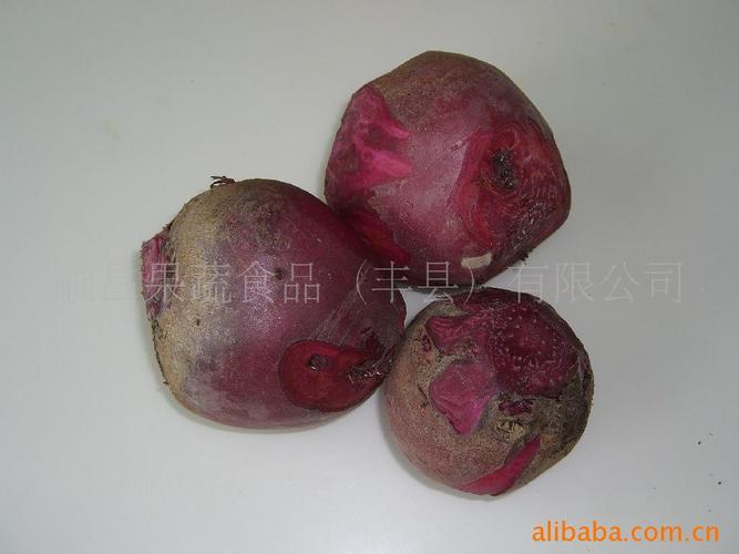 俄罗斯品种红甜菜