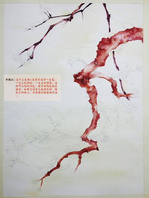 水彩雪梅的详细过程
