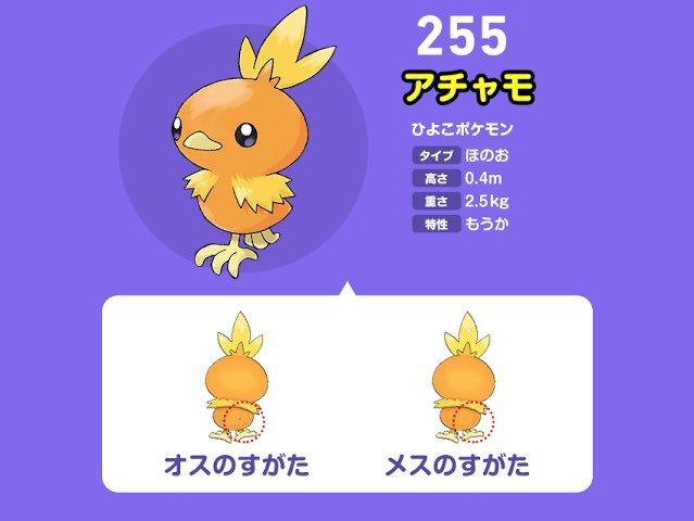 小知识:宝可梦火稚鸡的性别区分靠屁屁 _高清图集_新浪网