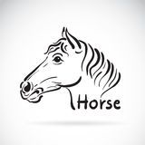 马头向右的马简笔画