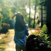 玫瑰都会变成枯萎的花朵你的心也会被吞没,女生头像