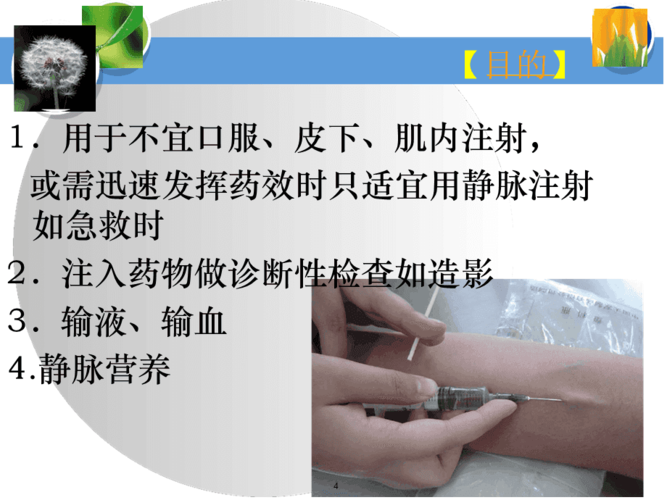 静脉注射法课堂