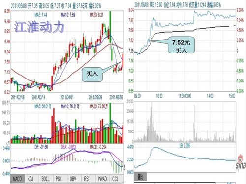 股价创历史新高股一览
