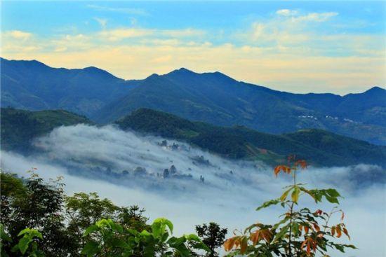立体旅游 行行摄摄    坡山是一个美丽的山村,坐落在黄山市歙县东南