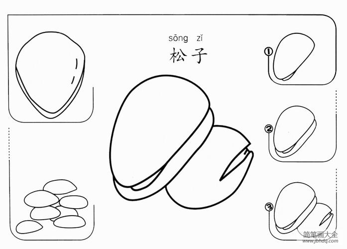 松子怎么画