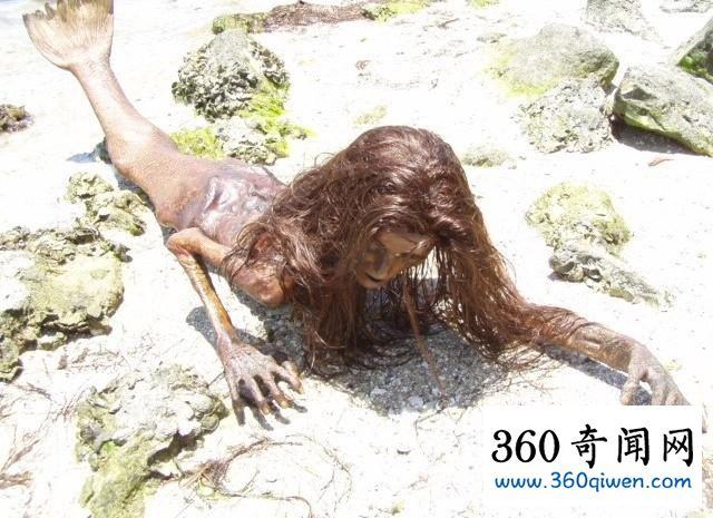 海滩惊现美人鱼尸体 真假令人难辨(组图)