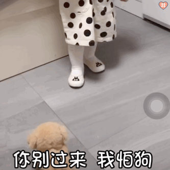 萌娃丸子妹表情包动图