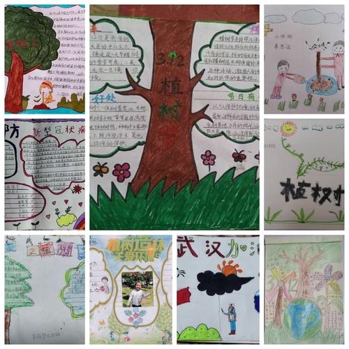 有的孩子通过手抄报的形式表达自己植树节的所思所想!