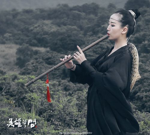 【英雄莫问】 (共p)