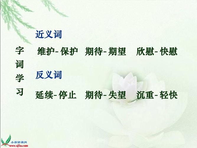 基础 分析 近义词 字 词 维护- 保护 期待- 期望 欣慰- 快慰 学