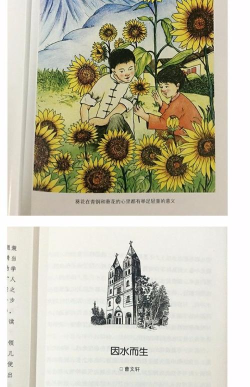 草房子 青铜葵花 曹文轩正版包邮全套四五六年级小学生儿童文学的课外
