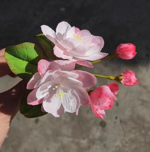 菁晏通草花西府海棠花发簪簪花非遗汉服配饰古风发饰