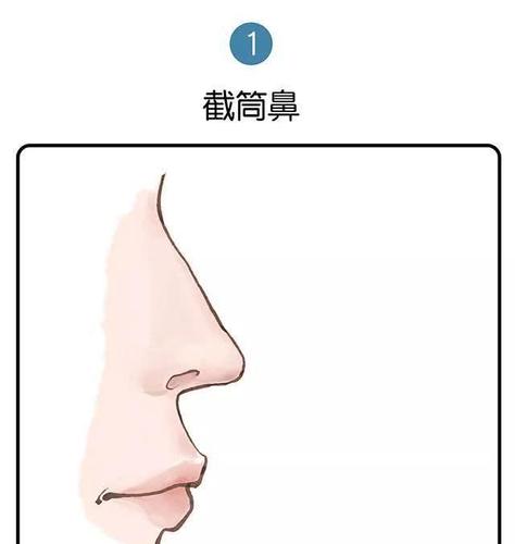 鼻子生得跟截筒一样平直,并且准头整齐端正,没有偏斜的人,性格