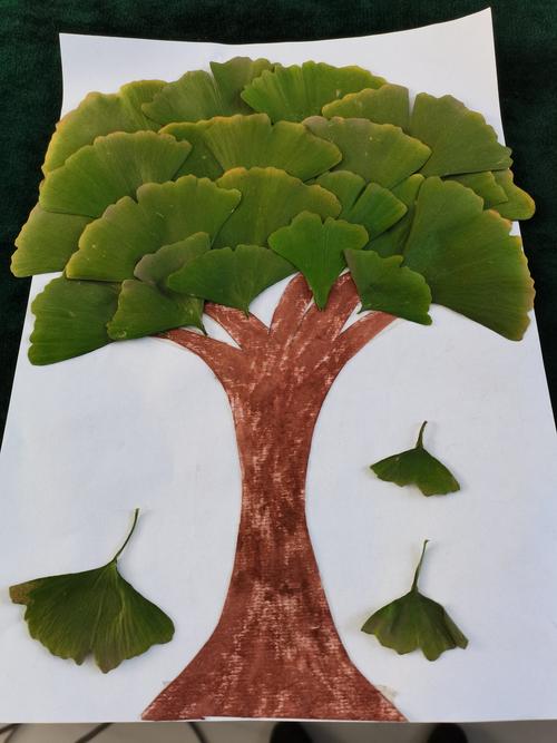 留住秋天 树叶贴画活动 营里镇胡士庄寨学校