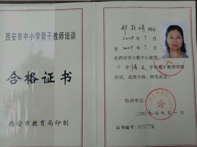 我身边最美的教师——郑颖娟