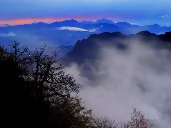 它是大娄山脉的主峰,海拨1576米,南距遵义市50公里,在遵义,桐梓两县的