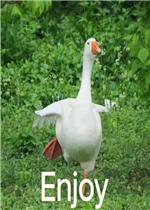 《要亲亲要抱抱要举高高表情包图片》是一款以大鹅为素材制作的表情包