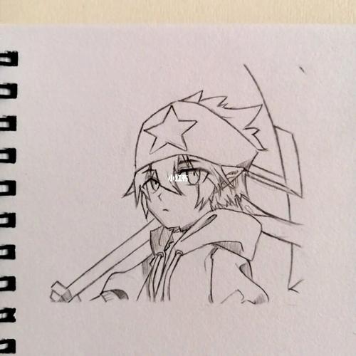 凹凸世界雷狮(含过程)_凹凸世界_人文_绘画