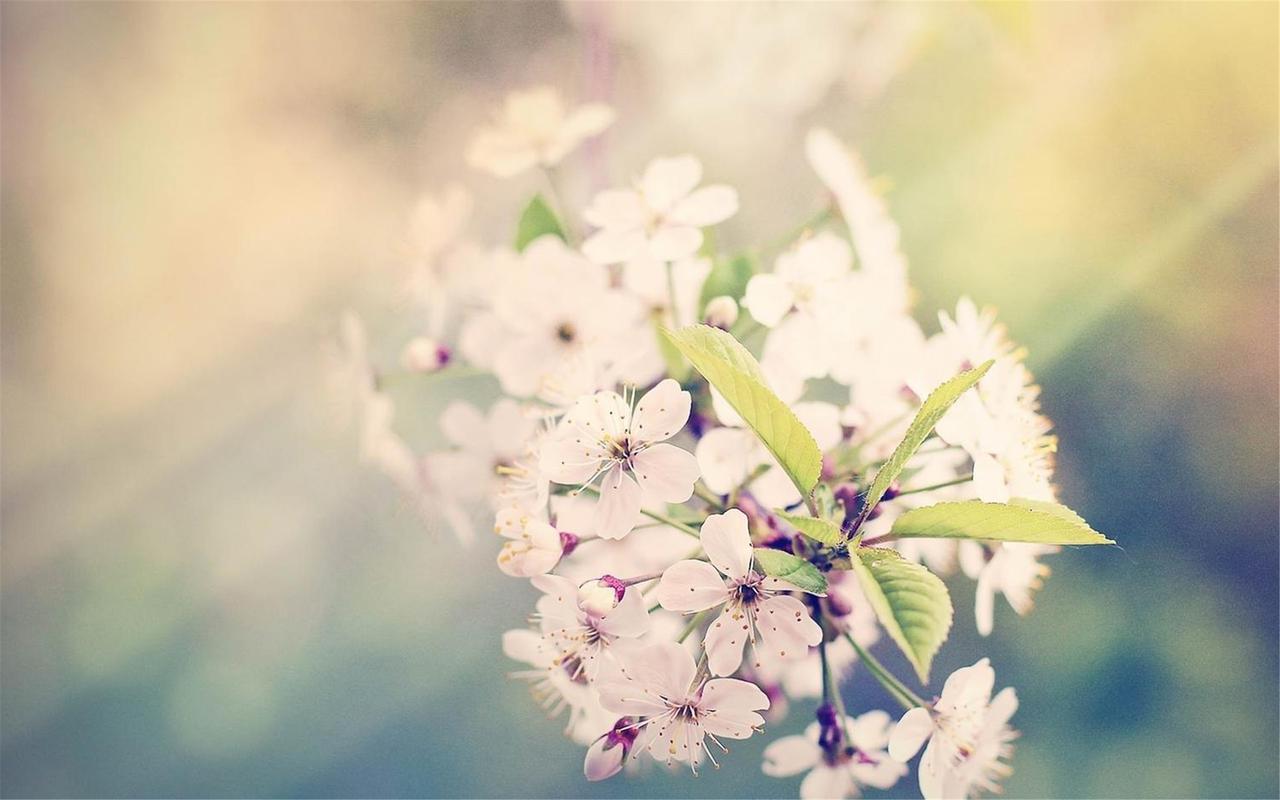 唯美意境自然风景桌面壁纸图片大全